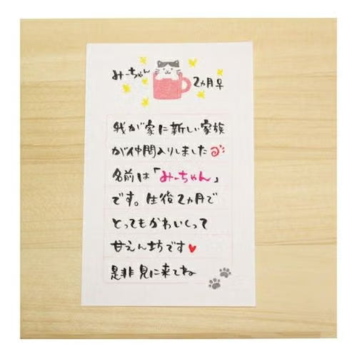 SOEBUMI MINI LETTER SET – CAT WITH MUG (LS494)