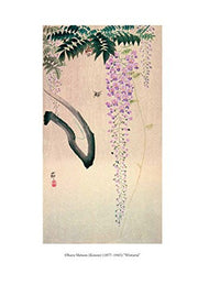 IN A JAPANESE GARDEN COLORING BOOK