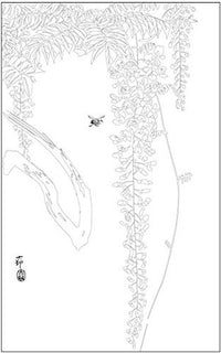 IN A JAPANESE GARDEN COLORING BOOK