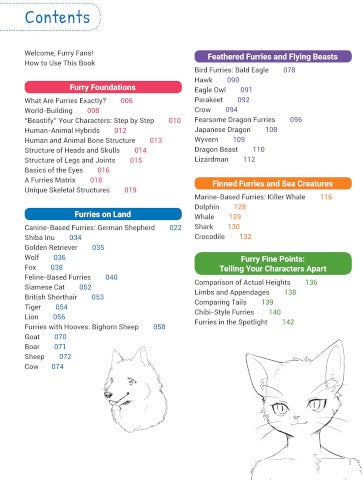 HOW TO DRAW MANGA FURRIES