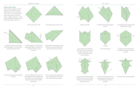 ADVANCED ORIGAMI