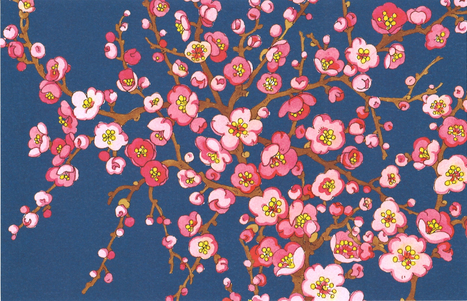 [BLANK]  BLUE BASE: SAKURA (F25-956)