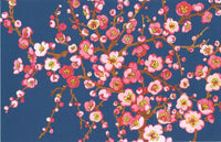 [BLANK]  BLUE BASE: SAKURA (F25-956)