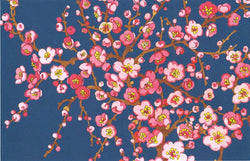 [BLANK]  BLUE BASE: SAKURA (F25-956)