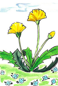 WATERCOLOR BRUSH PEN SAI 20 COLOR SET