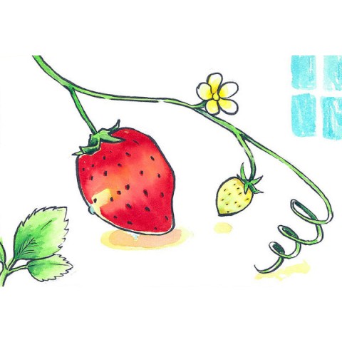 WATERCOLOR BRUSH PEN SAI EN PACKAGE ROSE RED (BENI-IRO)