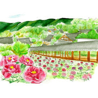 WATERCOLOR BRUSH PEN SAI EN PACKAGE MADDER (AKANE-IRO)