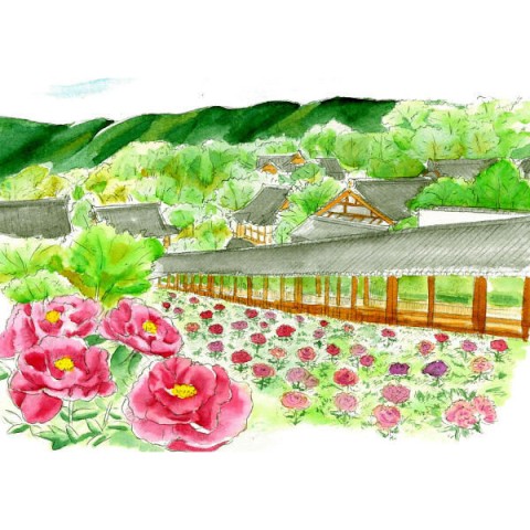 WATERCOLOR BRUSH PEN SAI EN PACKAGE MADDER (AKANE-IRO)