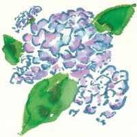 WATERCOLOR BRUSH PEN SAI 5 COLOR SET SUMMER EN PACKAGE