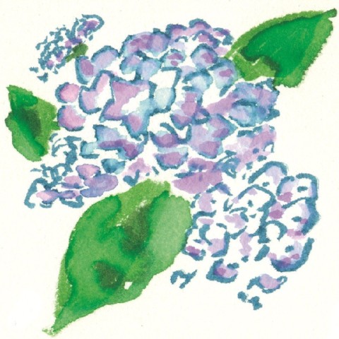 WATERCOLOR BRUSH PEN SAI 5 COLOR SET SUMMER EN PACKAGE