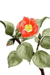 WATERCOLOR BRUSH PEN SAI 5 COLOR SET AUTUMN EN PACKAGE