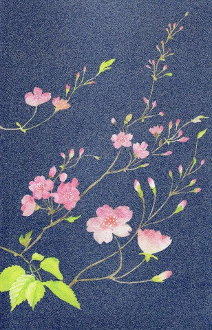 [BLANK] BLUE BASE: SAKURA