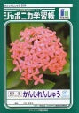 [L] KANJI 50-JI