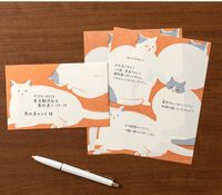 KIMAGURE EASY&COZY LETTER PAD CAT (20597006)