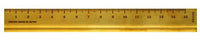 BRASS CM RULER