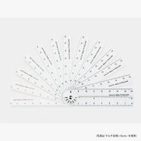 MULTI RULER 30CM CLEAR