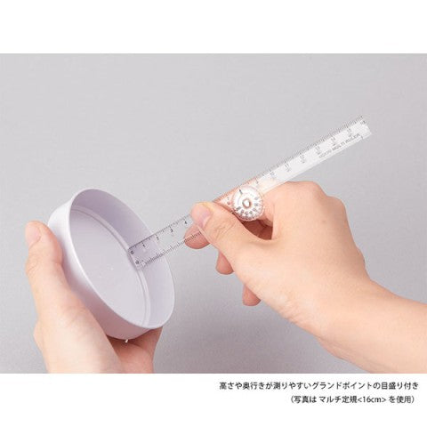 MULTI RULER 30CM CLEAR