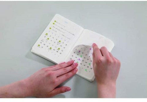 REMOVABLE CALENDAR STICKER MONTHLY S 10 SHEET