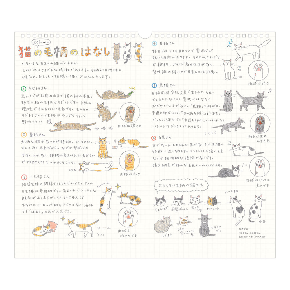 CALENDAR WALL-HANGING L CAT 2027 (31421006)
