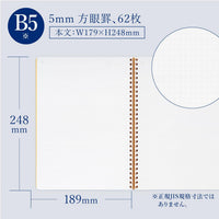 ROYAL COLLEGE B5 GRID 5MM 62 SHEETS (PT202)