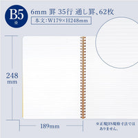 ROYAL COLLEGE B5 LINE 6MM 62 SHEETS (PT102)