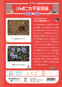NOTEBOOK B5 JL-8 KOKUGO 10-MASU W/ LEADERS (00108001)