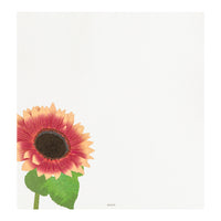Letter Pad 025 Four Designs Sunflower (81025006)
