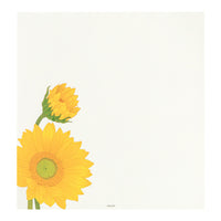 Letter Pad 025 Four Designs Sunflower (81025006)