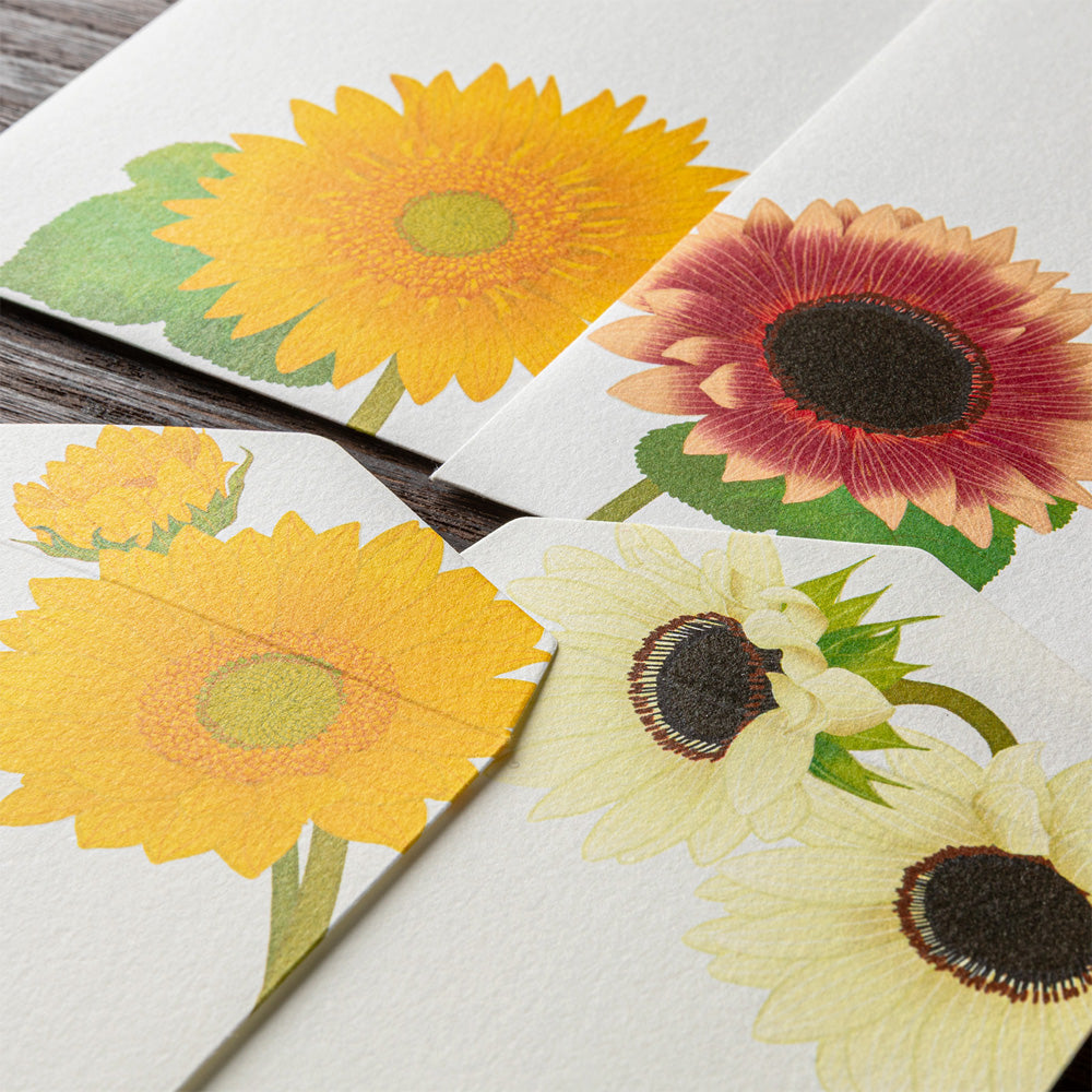Envelope 026 Four Designs Sunflower (81026006)