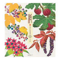 LETTER PAD 033 FOUR DESIGNS AUTUMN FRUITS S3 (81033006)
