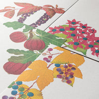 LETTER PAD 033 FOUR DESIGNS AUTUMN FRUITS S3 (81033006)