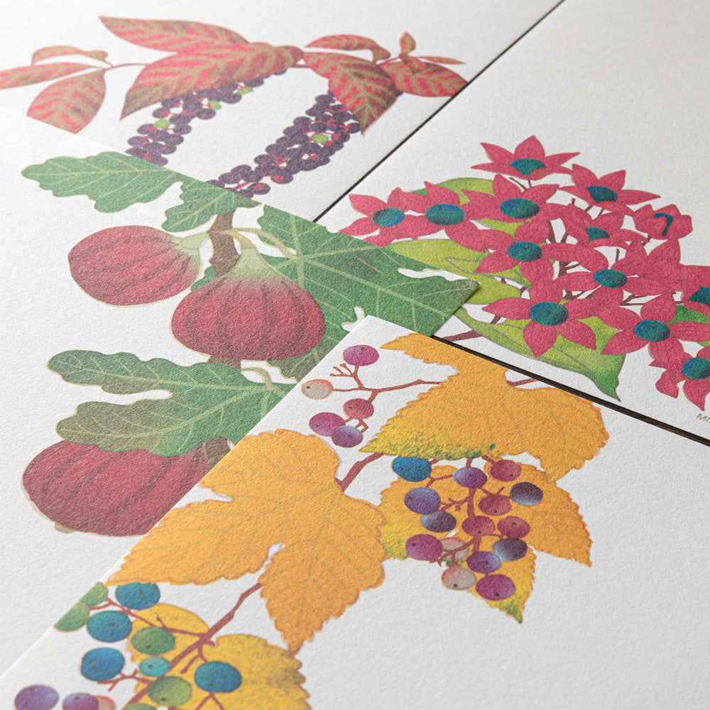 LETTER PAD 033 FOUR DESIGNS AUTUMN FRUITS S3 (81033006)