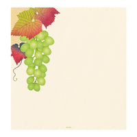 LETTER PAD 039 SILK-PRINTING GRAPES S2 (81039006)