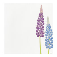 LETTER PAD 949 FOUR DESIGNS SUMMER FLOWERS S5