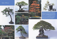 SECRET TECHNIQUES OF BONSAI, THE