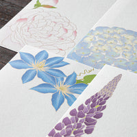 MESSAGE LETTER PAD 603 FOUR DESIGNS SUMMER FLOWERS S5