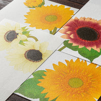 Message Letter Pad 605 Four Designs Sunflower (89605006)