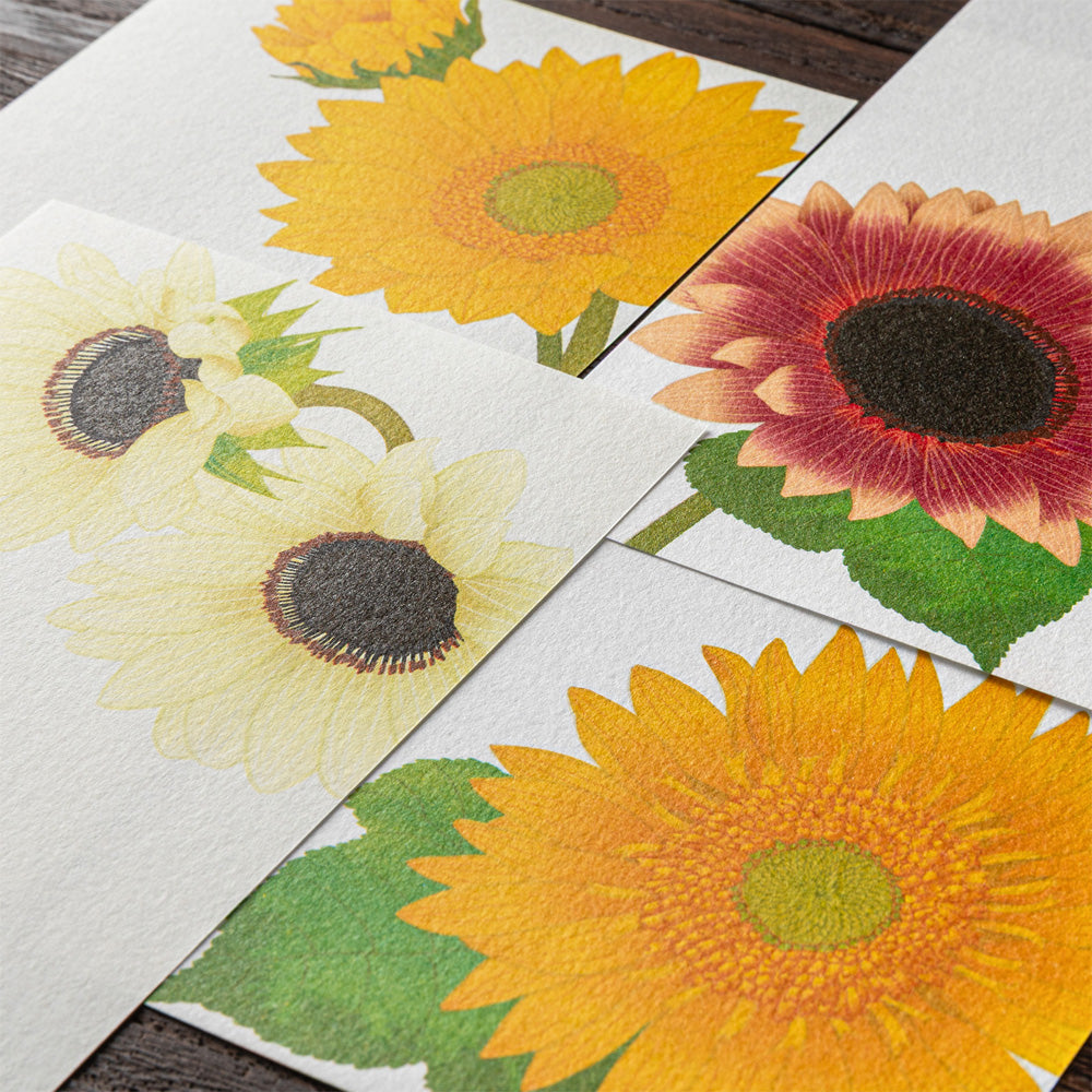 Message Letter Pad 605 Four Designs Sunflower (89605006)