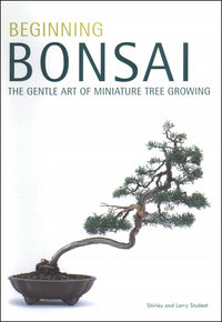 BEGINNING BONSAI