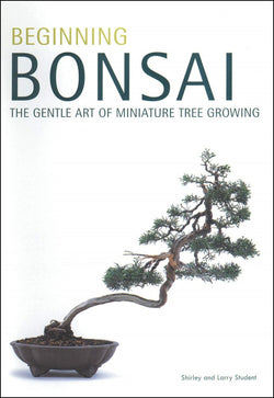 BEGINNING BONSAI