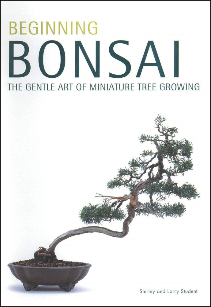 BEGINNING BONSAI