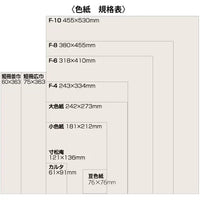 SHIKISHI PAPER FOR SIGNATURE 242X273MM (BA11)